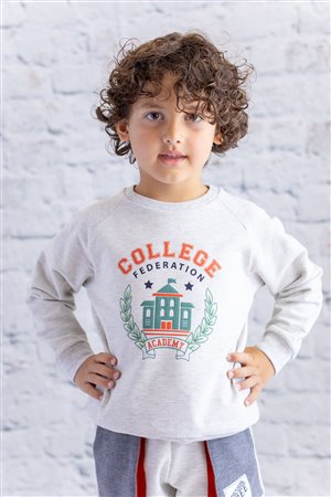 Baby Boy Raglan Printed Sweatshirt