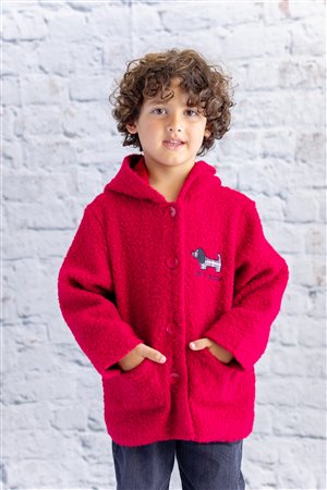 Baby Girl Dog Embroidered Coat