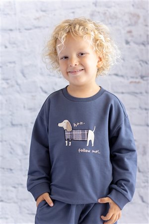 Baby Boy Printed Embroidered Sweatshirt