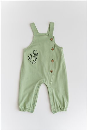 Baby Boy Crocodile Embroidered Overalls